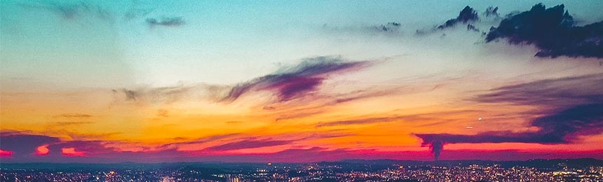 屯昌茶虫网_屯昌品茶